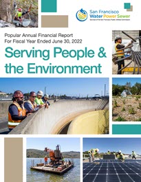 Popular Annual Financial Report Cover