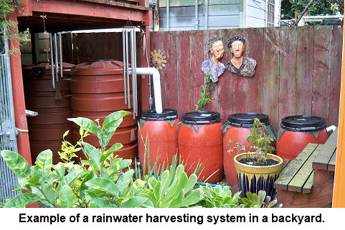 Rain barrels for rainwater harvesting