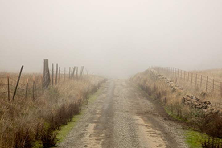 country road clouded in fog