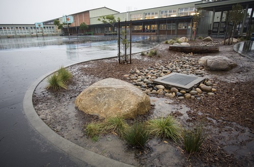 rain garden at Robert Lewis Stevenson Elementary