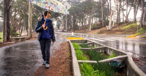 Woman walks holding an umbrella next to a rain garden