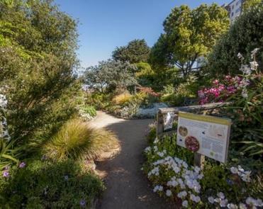 pathway at the learning garden 